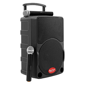Baretone MAX10C 10 inch Portable Wireless Speaker
